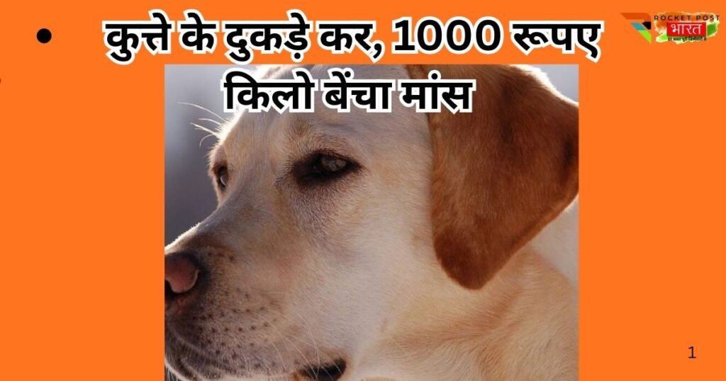 मोतिहारी में हैवानियत की हदें पार। कुत्ते के टुकड़े कर खरगोश का मांस बताकर बेचा, मांस खाने से कई ग्रामीण बीमार, गांव में आक्रोश।