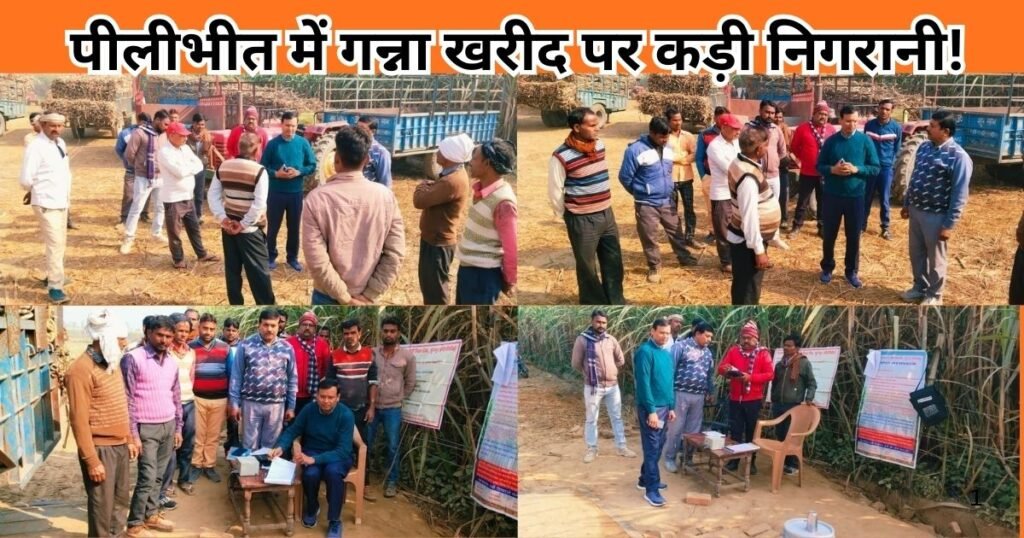 Pilibhit में गन्ना खरीद पर निगरानी बढ़ी, हर क्रय केंद्र पर अधिकारी तैनात। किसानों को सुविधा, पारदर्शी तौल और प्रशासन की पूरी तैयारी जानें।