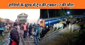 असम में हाथियों के झुण्ड से ट्रेन की टक्कर—7 की मौत!