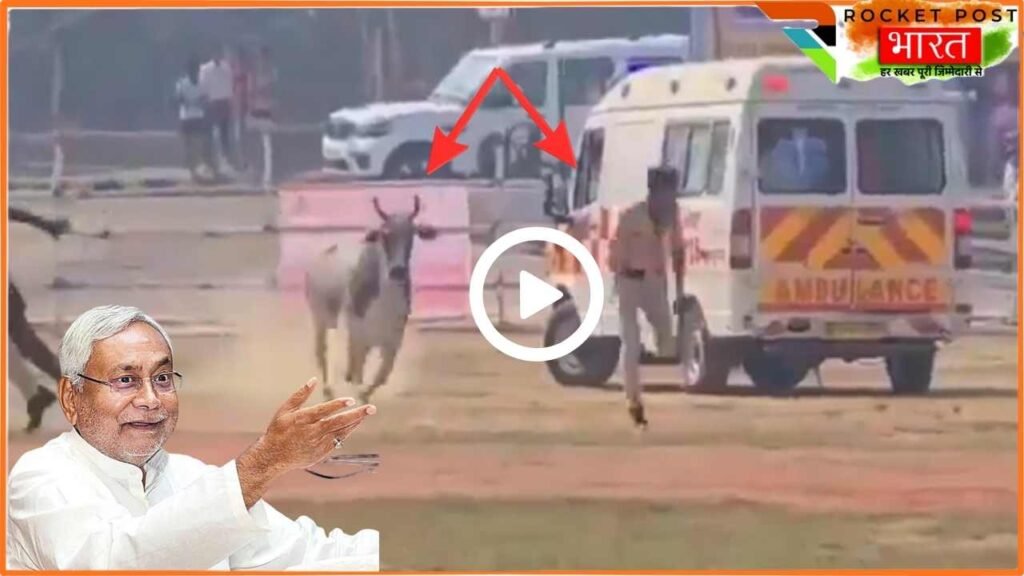 Video: CM के हेलीकॉप्टर से पहले हेलीपैड पर ‘बैल महाराज’ की लैंडिंग, पुलिस को दौड़ाया.. फायर ब्रिगेड पर चढ़े !