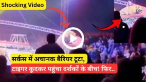 Shocking Video: सर्कस में अचानक बैरियर टूटा, टाइगर कूदकर पहुंचा दर्शकों के बीच! फिर जो हुआ वो दहलाने वाला..