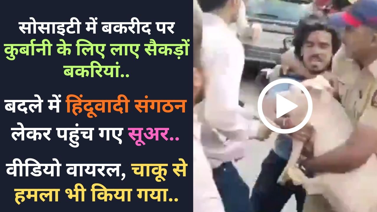 Thaane Bakrid Vivad: सोसाइटी में कुर्बानी के लिए लाए सैकड़ों बकरियां, बदले में हिंदूवादी संगठन लेकर पहुंच गए सूअर..