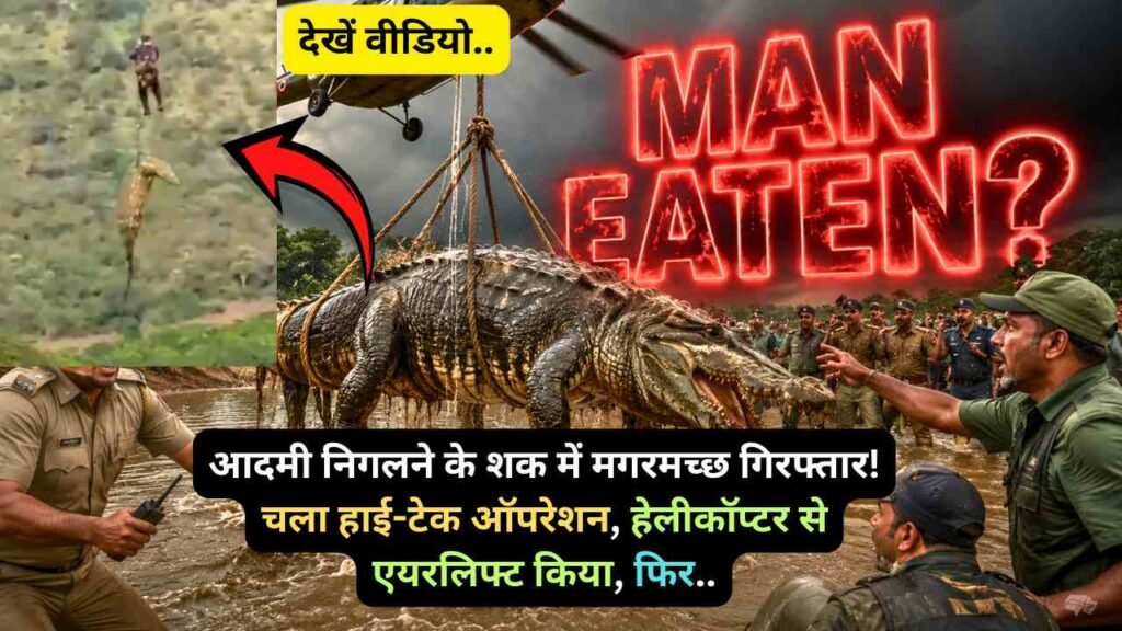 अजब-गजब: आदमी निगलने के शक में मगरमच्छ गिरफ्तार! चला हाई-टेक ऑपरेशन, हेलीकॉप्टर से एयरलिफ्ट किया, फिर..