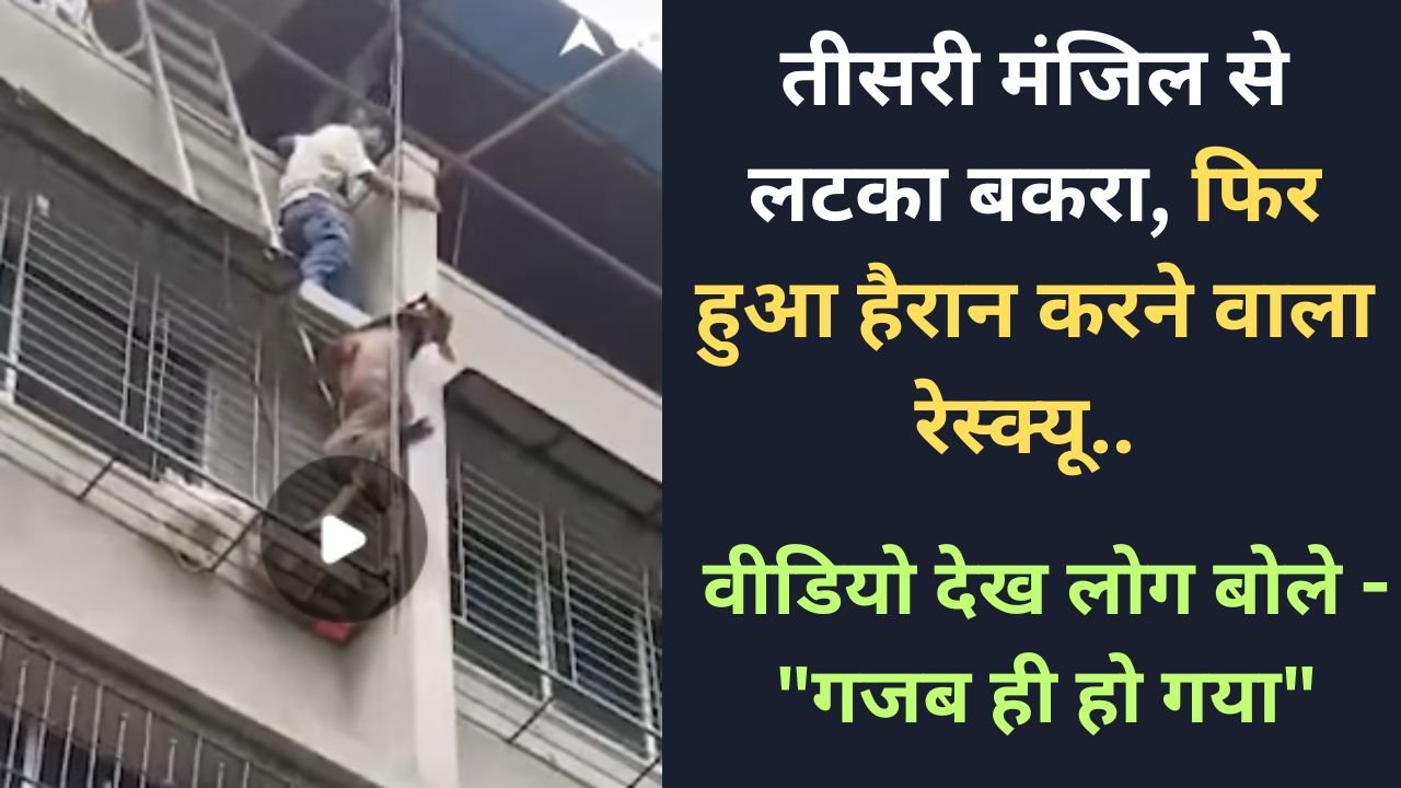 Viral Video: तीसरी मंजिल से लटका बकरा, फिर हुआ हैरान करने वाला रेस्क्यू.. वीडियो देख लोग बोले - "गजब ही हो गया"