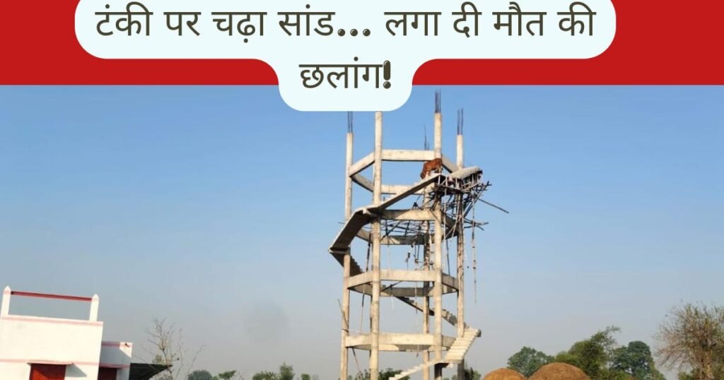 बदायूं में निर्माणाधीन पानी की टंकी से कूदा सांड, दर्दनाक मौत के बाद जल निगम की लापरवाही पर उठे सवाल, VIDEO वायरल