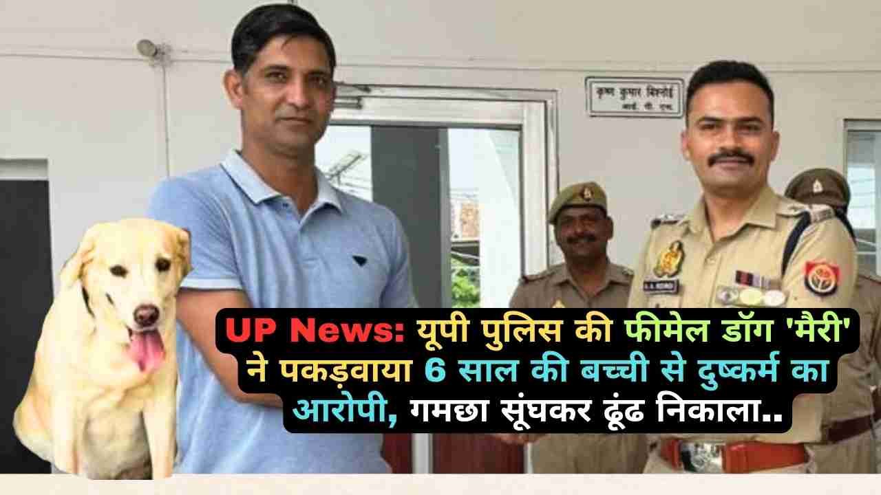 UP News: यूपी पुलिस की फीमेल डॉग 'मैरी' ने पकड़वाया 6 साल की बच्ची से दुष्कर्म का आरोपी, गमछा सूंघकर ढूंढ निकाला..
