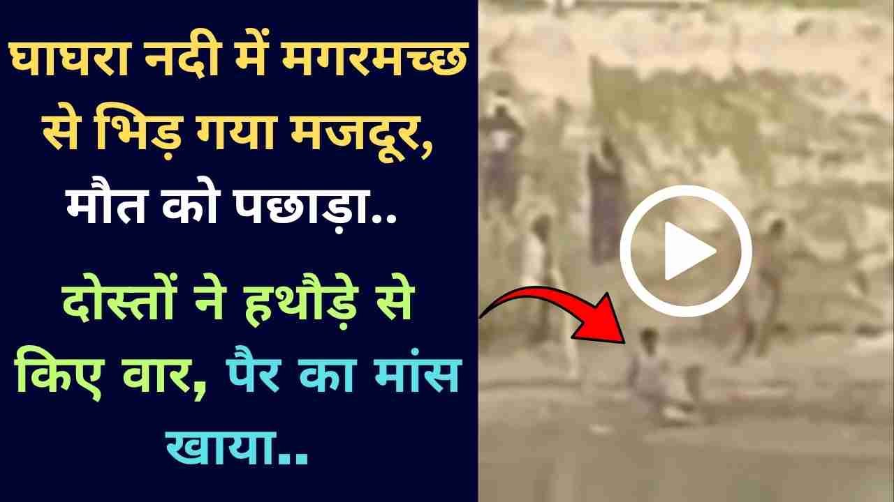 Viral Video: घाघरा नदी में मगरमच्छ से भिड़ गया मजदूर, मौत को पछाड़ा.. दोस्तों ने हथौड़े से किए वार, पैर का मांस खाया..