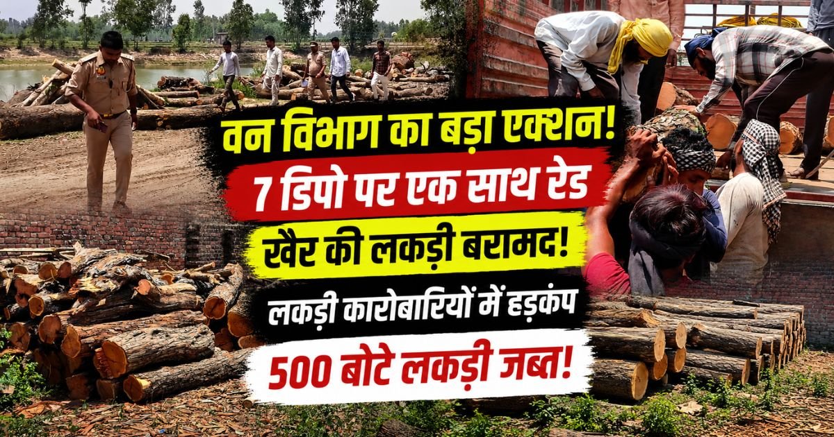पीलीभीत में वन विभाग ने 7 लकड़ी डिपो पर छापेमारी कर भारी मात्रा में प्रतिबंधित लकड़ी बरामद की। 3 लोगों पर कार्रवाई, जांच जारी।