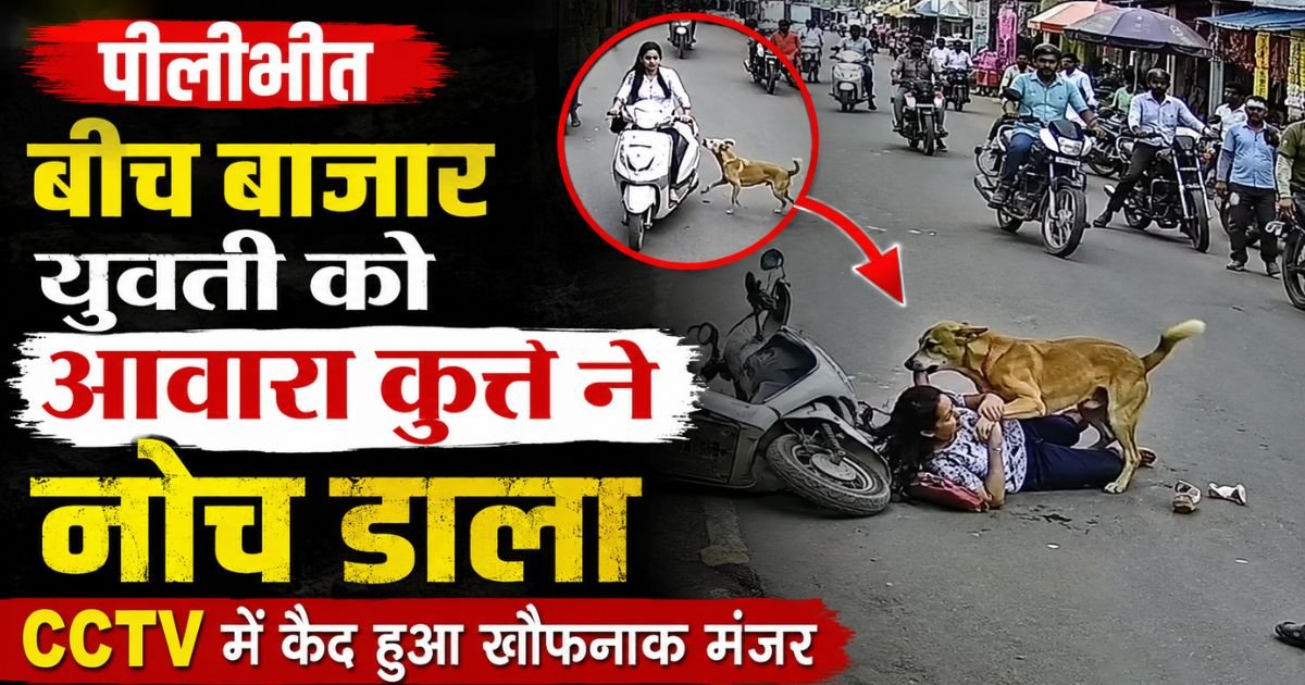 पीलीभीत में स्कूटी सवार महिला पर आवारा कुत्ते का खौफनाक हमला, CCTV फुटेज वायरल, लोग दहशत में और प्रशासन पर उठे सवाल।