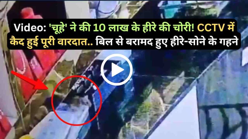 Video: 'चूहे' ने की 10 लाख के हीरे की चोरी! CCTV में कैद हुई पूरी वारदात.. बिल से बरामद हुए हीरे-सोने के गहने