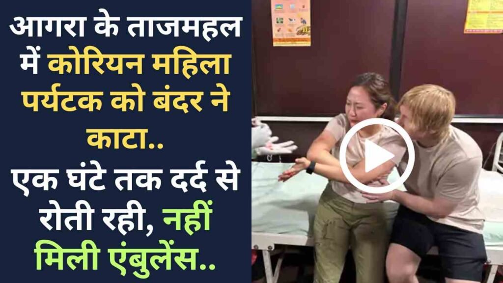 UP News: आगरा के ताजमहल में कोरियन महिला पर्यटक को बंदर ने काटा, एक घंटे तक दर्द से रोती रही, नहीं मिली एंबुलेंस..