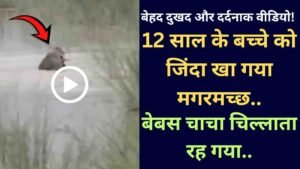 UP News: बेहद दुखद और दर्दनाक वीडियो! 12 साल के बच्चे को जिंदा खा गया मगरमच्छ, बेबस चाचा चिल्लाता रह गया..