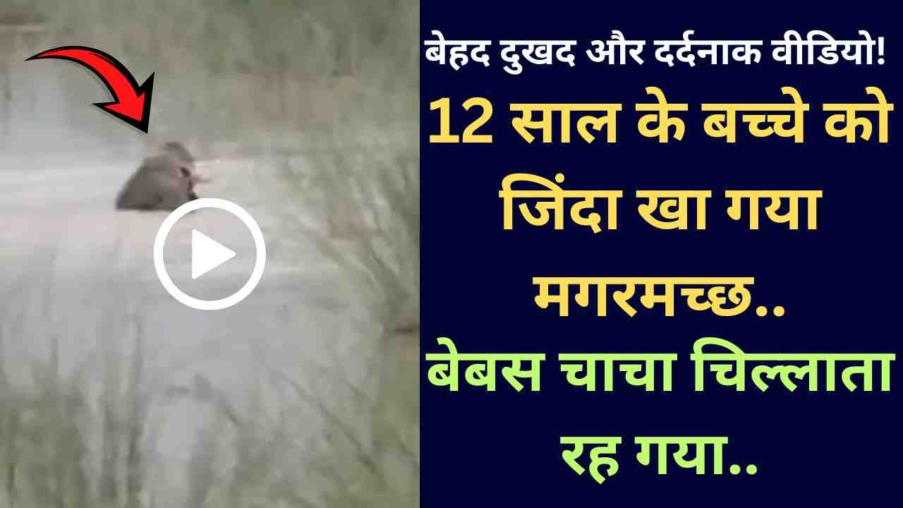 UP News: बेहद दुखद और दर्दनाक वीडियो! 12 साल के बच्चे को जिंदा खा गया मगरमच्छ, बेबस चाचा चिल्लाता रह गया..