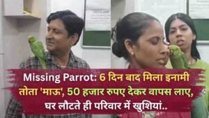 Missing Parrot: 6 दिन बाद मिला इनामी तोता 'माऊ', 50 हजार रुपए देकर वापस लाए, घर लौटते ही परिवार में खुशियां..