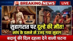 UP News: सुहागरात पर दूल्हे को सांप ने डसा, शादी के कुछ घंटों बाद मौत; बदायूं में खुशियां मातम में बदलीं..