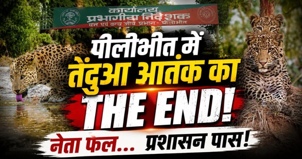 पीलीभीत में 50 करोड़ की लेपर्ड सफारी से तेंदुओं का आतंक कम करने की बड़ी पहल। 365 दिन पर्यटन, मानव-वन्यजीव संघर्ष पर स्थायी समाधान की तैयारी।