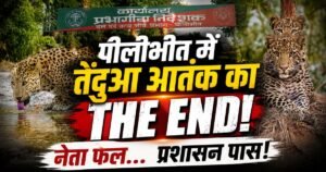 पीलीभीत में 50 करोड़ की लेपर्ड सफारी से तेंदुओं का आतंक कम करने की बड़ी पहल। 365 दिन पर्यटन, मानव-वन्यजीव संघर्ष पर स्थायी समाधान की तैयारी।