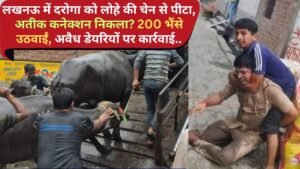 UP News: लखनऊ में दरोगा को लोहे की चेन से पीटा, अतीक कनेक्शन निकला? 200 भैंसे उठवाईं, अवैध डेयरियों पर कार्रवाई..