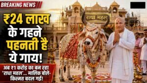 Amazing News: राजस्थान की 'राधा' गाय पहनती है ₹24 लाख के गहने, अब बन रहा ₹1 करोड़ का दो मंजिला महल..