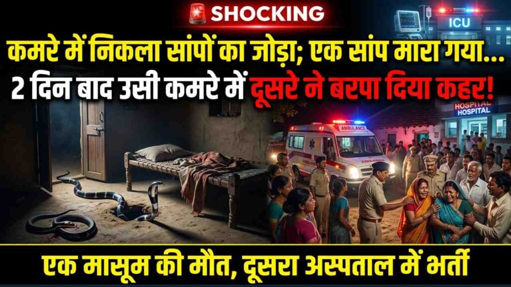Shocking: पहले एक सांप मारा गया... 2 दिन बाद उसी कमरे में दूसरे ने बरपा दिया कहर! 3 वर्षीय बेटे की मौत, बेटी वेंटीलेटर पर..