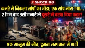 Shocking: पहले एक सांप मारा गया... 2 दिन बाद उसी कमरे में दूसरे ने बरपा दिया कहर! 3 वर्षीय बेटे की मौत, बेटी वेंटीलेटर पर..