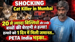 Cat Killer in Mumbai: 20 से ज्यादा बिल्लियों और उनके बच्चों के हत्यारे को 1 दिन में मिली जमानत, PETA India भड़का..