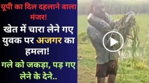 Viral Video: यूपी का दिल दहलाने वाला मंजर! खेत में चारा लेने गए युवक पर अजगर का हमला! गले को जकड़ा, पड़ गए लेने के देने..