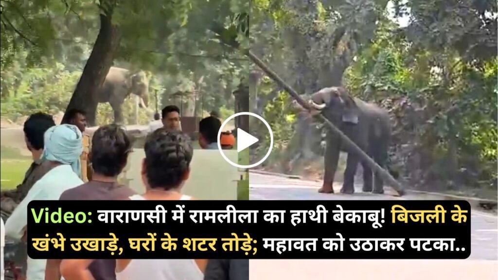Elephant Video: वाराणसी में रामलीला का हाथी बेकाबू! बिजली के खंभे उखाड़े, घरों के शटर तोड़े; महावत को उठाकर पटका..